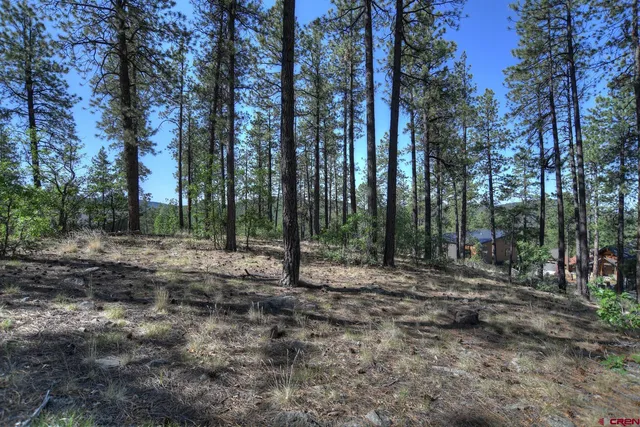 a view of outdoor space with trees