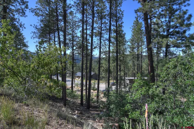 a view of outdoor space and green space