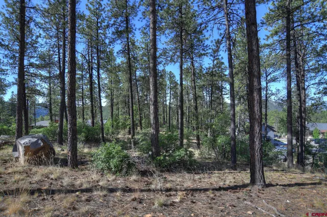 a view of outdoor space and green space