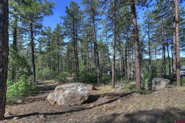 a view of a backyard with large trees