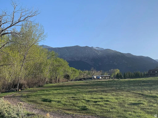 865 South Bullion Canyon Road, Unit 3 Marysvale, UT 84750 - Photo 21 of 30 West view at treeline