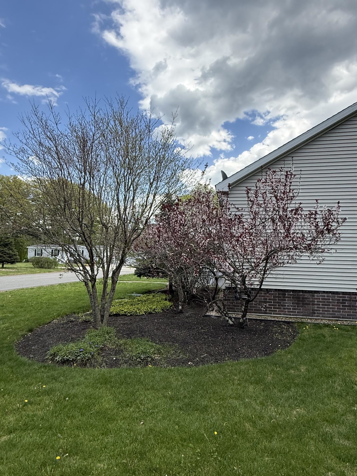 65 Sagebrush Drive Rochester, NH 03867 - Photo 26 of 33