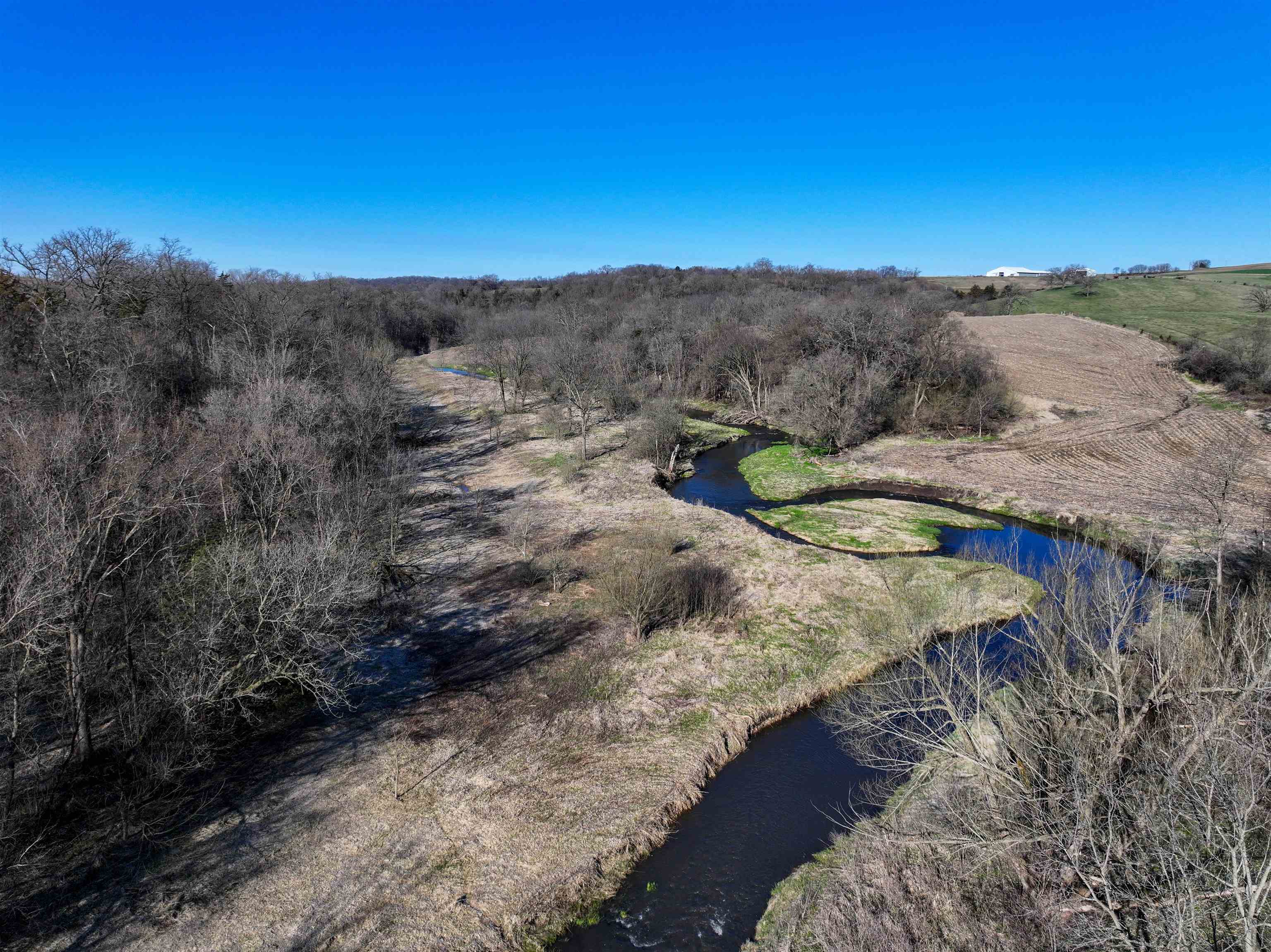 229.98-acres Whitcomb Lane Lancaster, WI 53813 - Photo 19 of 57