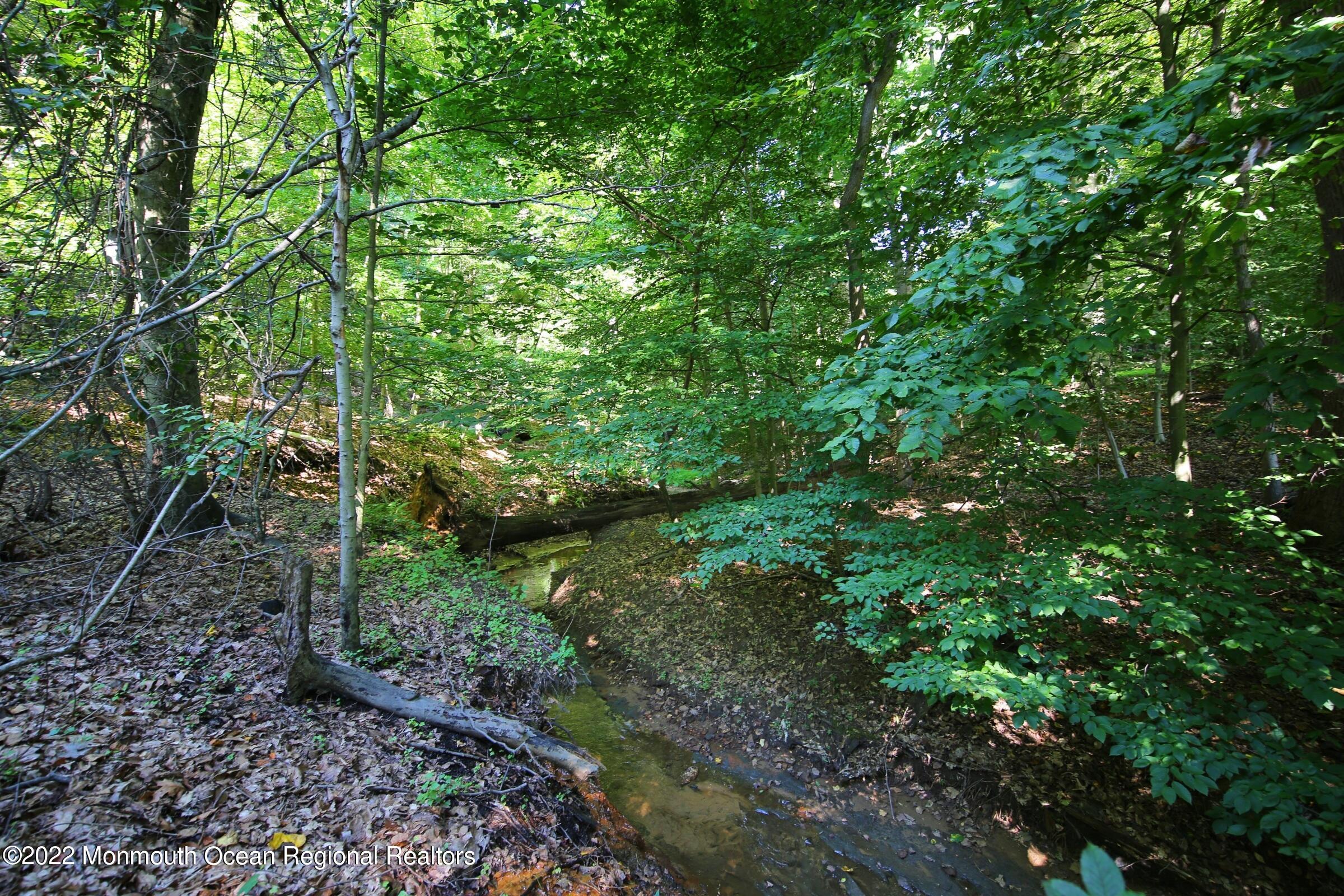 161 Pelican Road Middletown, NJ 07748 - Photo 26 of 43 Back Yard