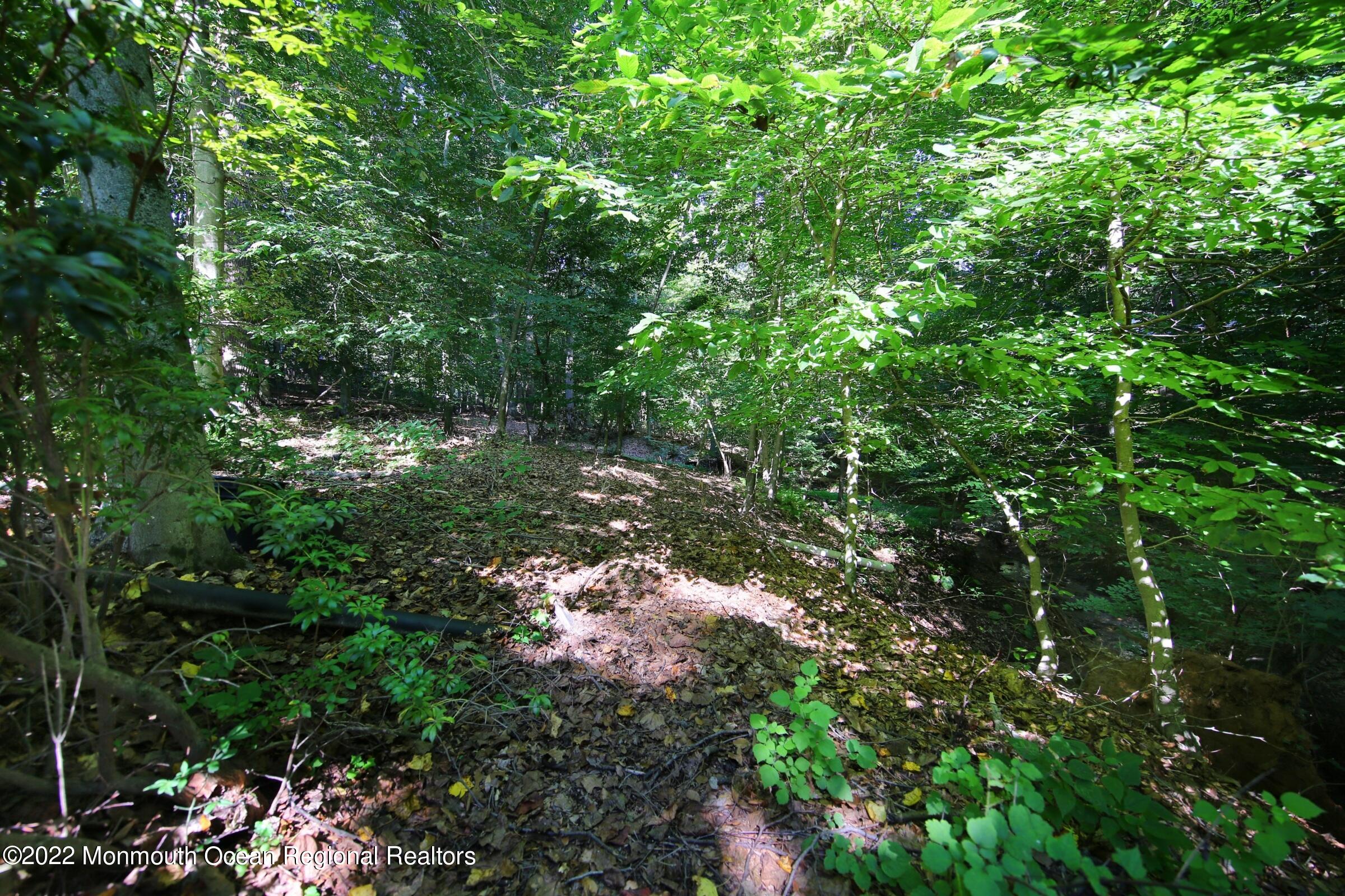 161 Pelican Road Middletown, NJ 07748 - Photo 29 of 43 Tranquil Oasis