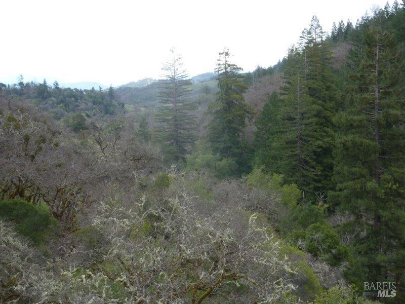 4225 Reeves Canyon Road Willits, CA 95490 - Photo 11 of 19 a view of a dry yard