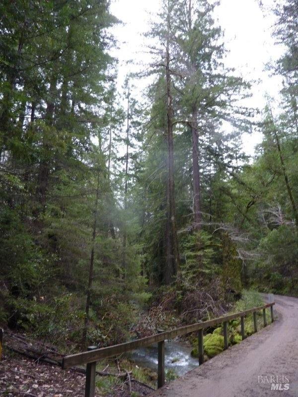4225 Reeves Canyon Road Willits, CA 95490 - Photo 13 of 19 a view of a forest with a tree