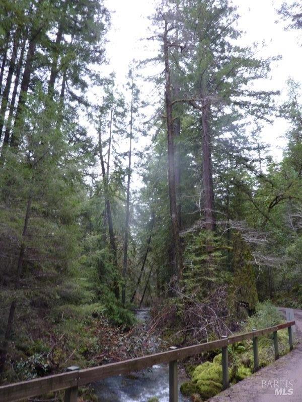 4225 Reeves Canyon Road Willits, CA 95490 - Photo 14 of 19 a view of a forest filled with trees