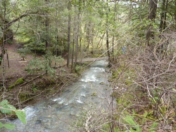 a view of a yard with large trees