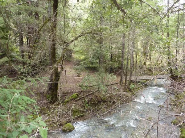 a view of a forest with lots of trees