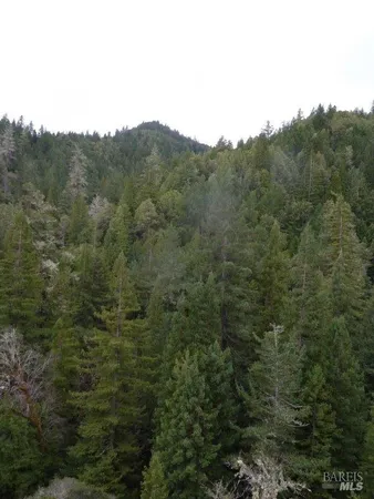 a view of a mountain in the distance in a field