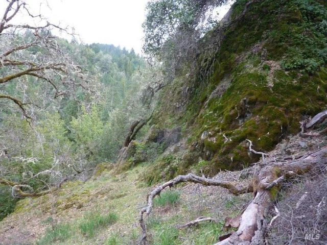 $650,000 | 4225 Reeves Canyon Road, Willits, CA 95490