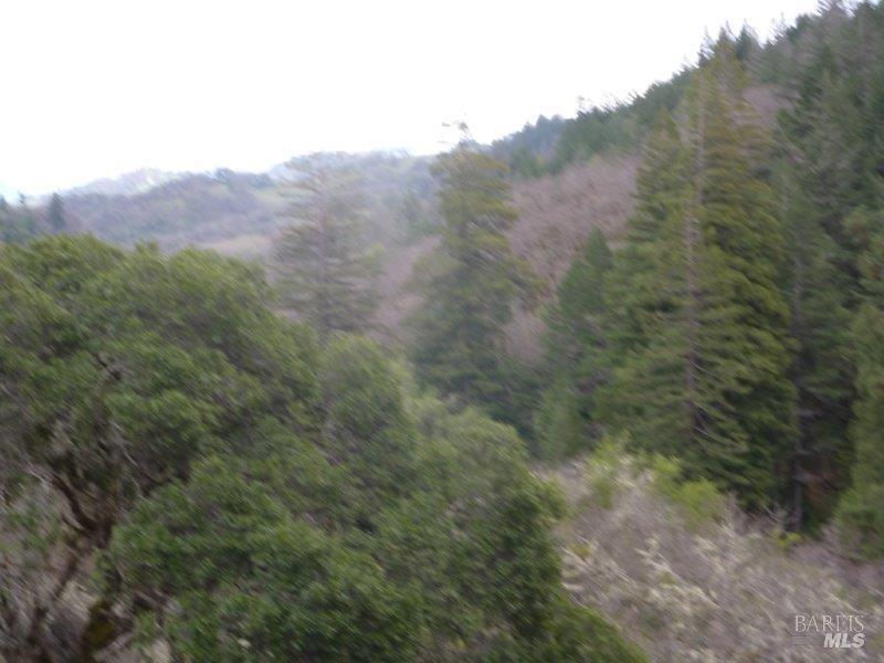 4225 Reeves Canyon Road Willits, CA 95490 - Photo 10 of 19 a view of a dry yard