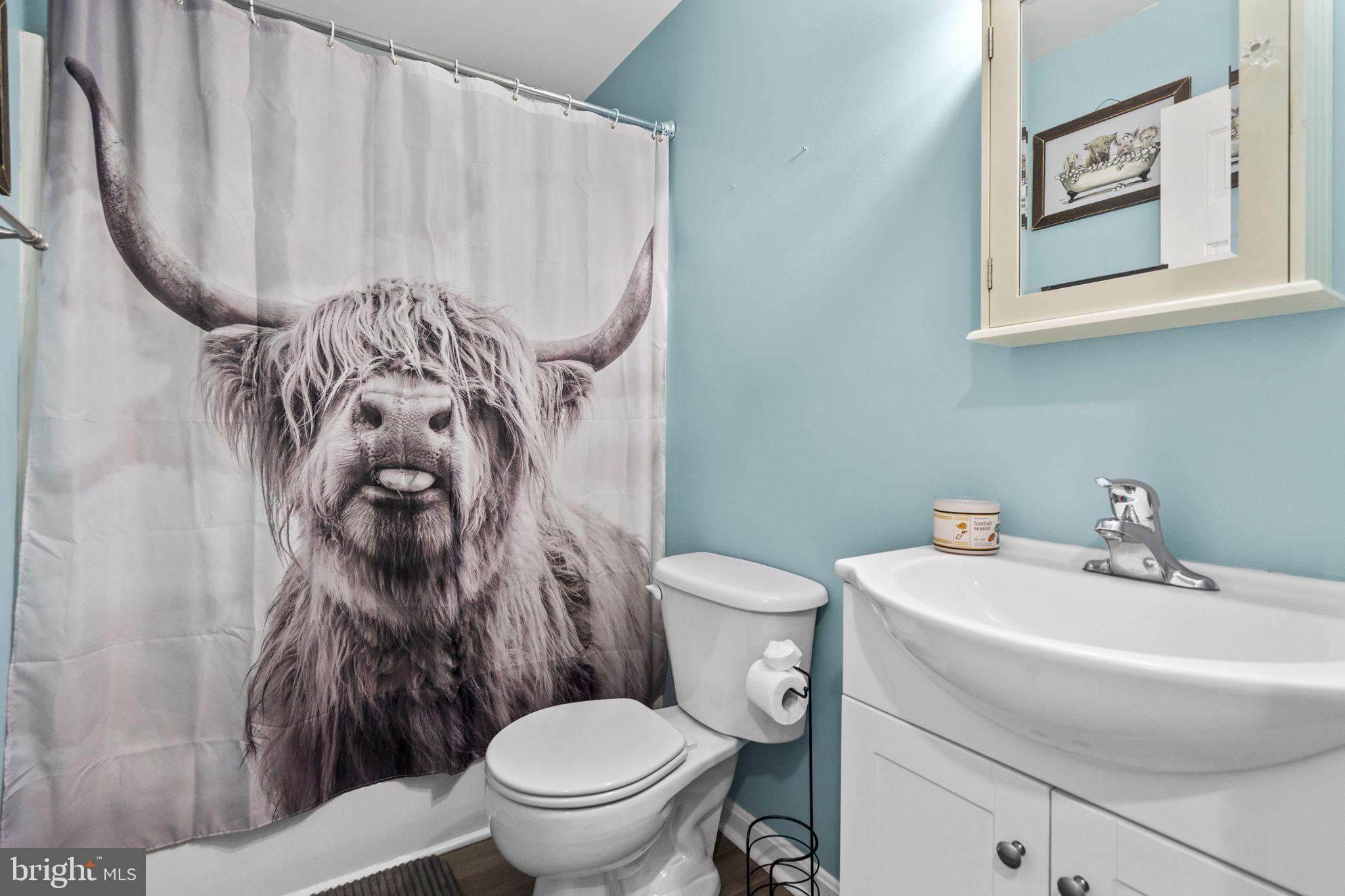 10277 River Road Rixeyville, VA 22737 - Photo 27 of 32 a bathroom with a toilet and a sink