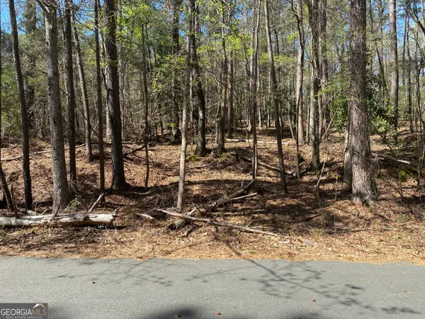 $14,000 | 0 Sandra Drive, Gray, GA 31032