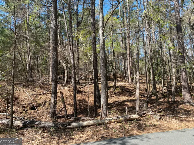 $15,000 | 0 Sandra Drive, Gray, GA 31032