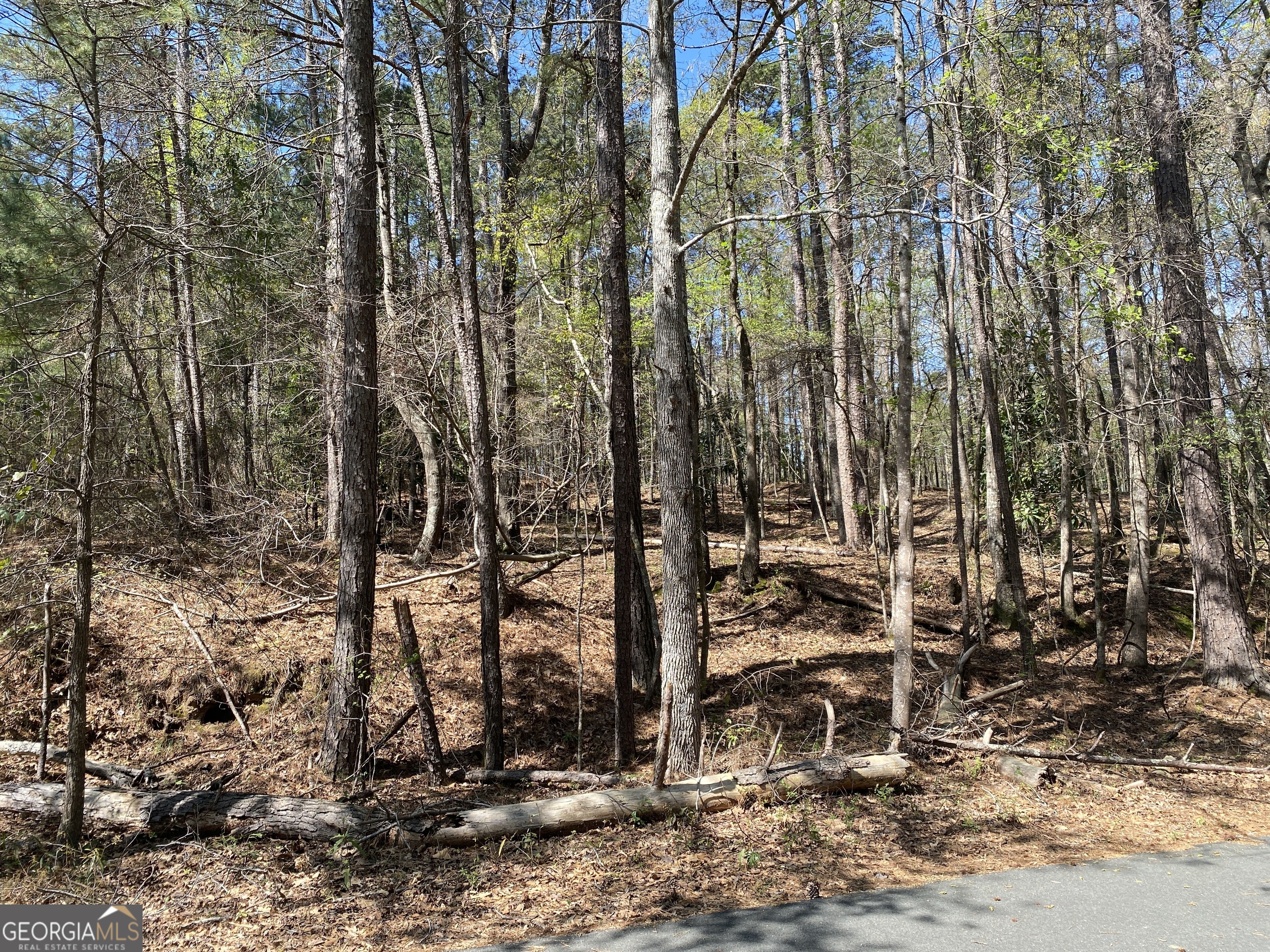 0 Sandra Drive Gray, GA 31032 - Photo 2 of 3