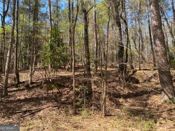 $14,000 | 0 Sandra Drive, Gray, GA 31032