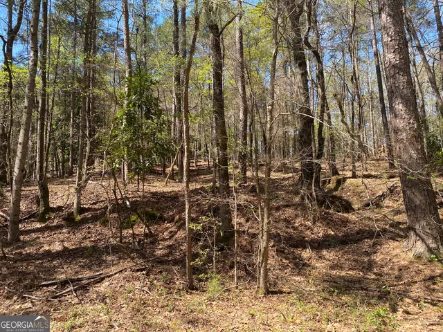 $15,000 | 0 Sandra Drive, Gray, GA 31032