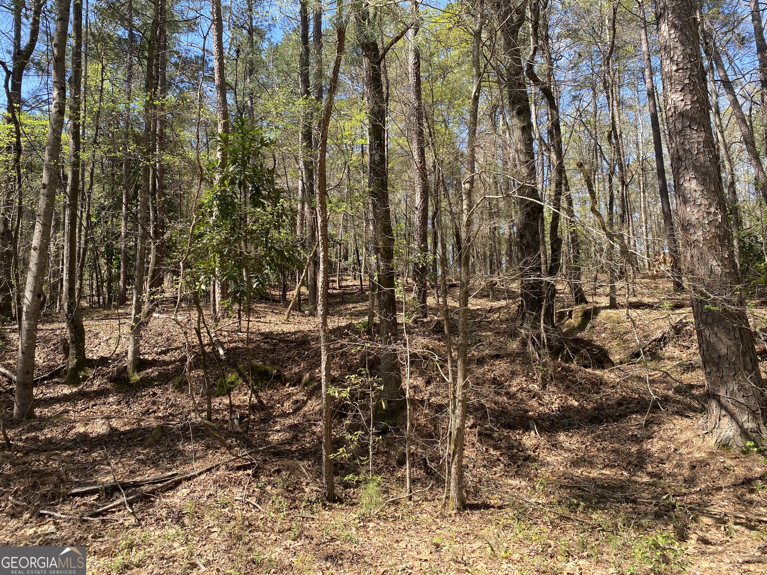 0 Sandra Drive Gray, GA 31032 - Photo 3 of 3