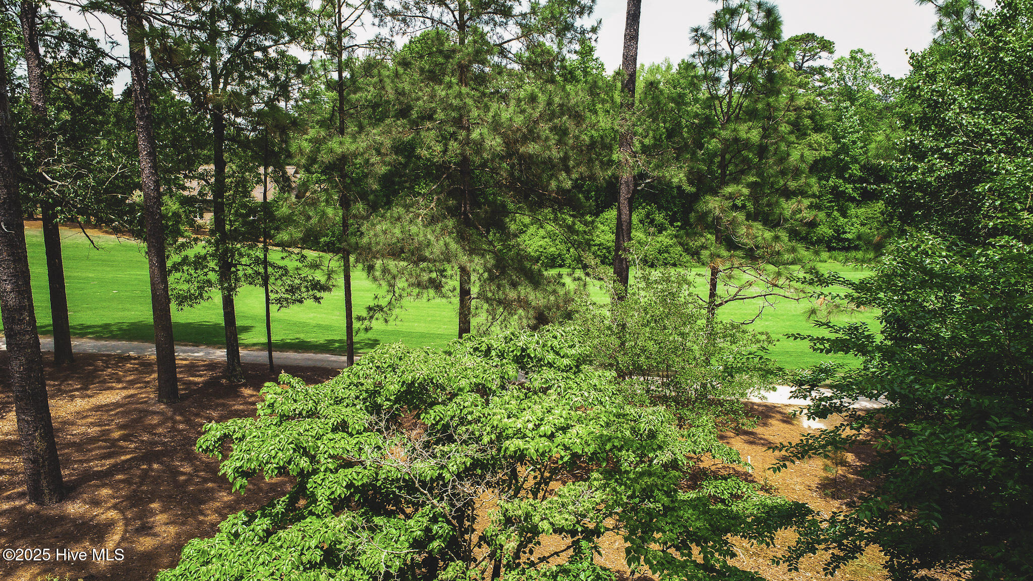 115 Scott Road Pinehurst, NC 28374 - Photo 35 of 46 DJI_0062