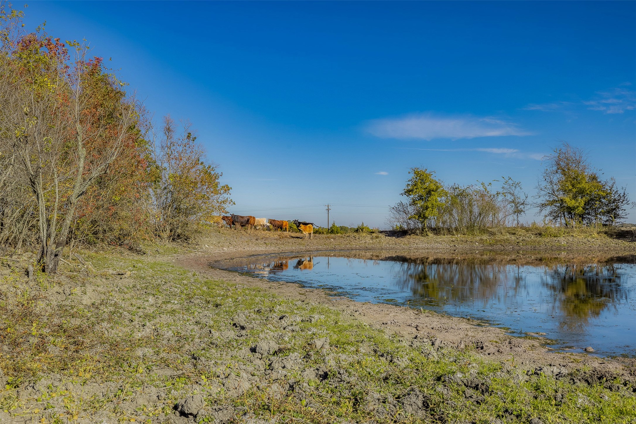 4435 Hartfield Road Round Top, TX 78954 - Photo 12 of 20 a view of a lake with outdoor space