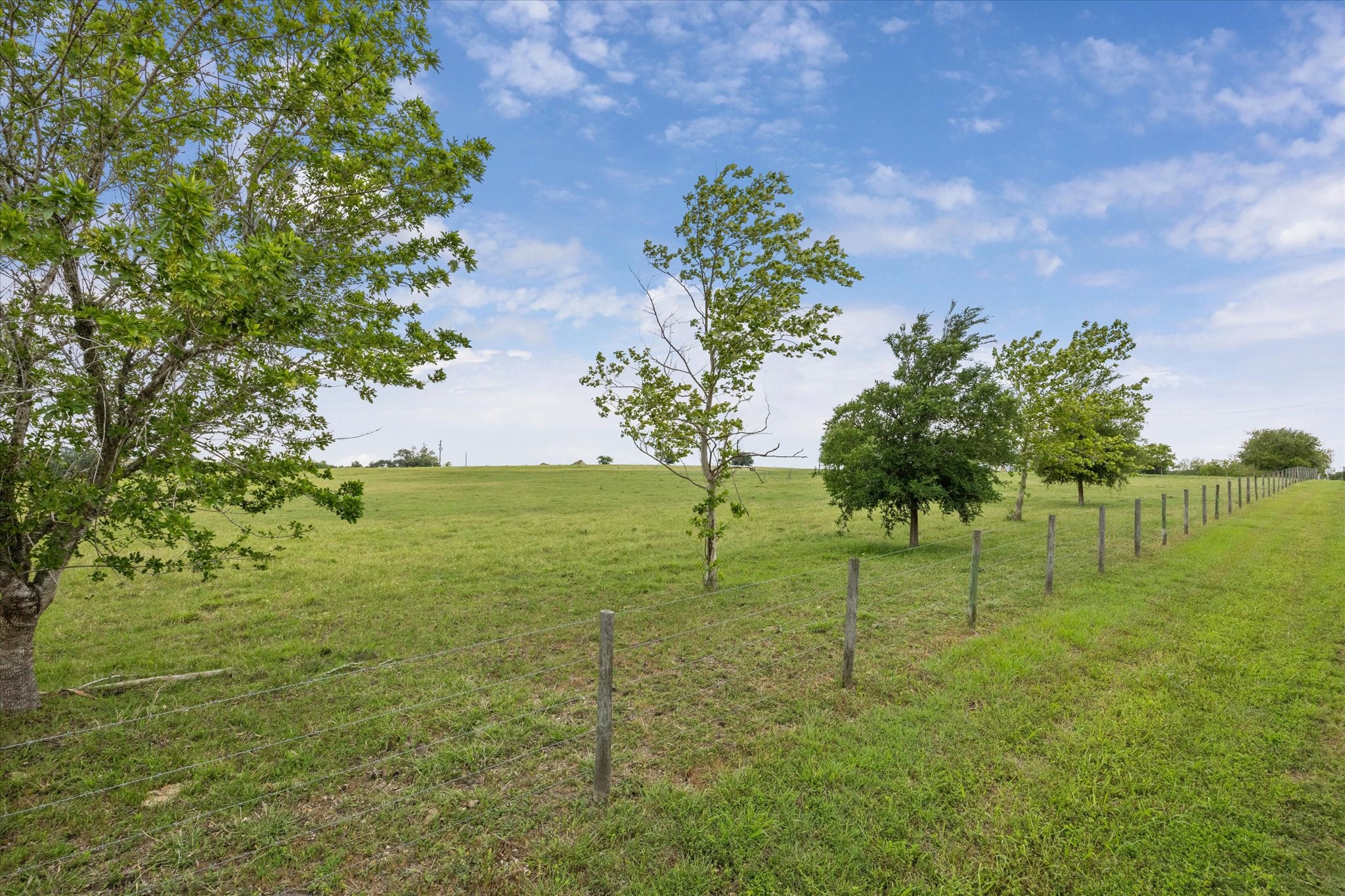 4435 Hartfield Road Round Top, TX 78954 - Photo 6 of 20 a view of garden with trees