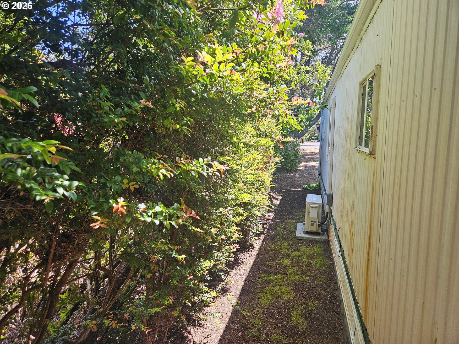 1600 Rhododendron Drive, Unit 214 Florence, OR 97439 - Photo 20 of 38 a view of a pathway both side of house