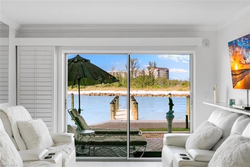 Sit in your living room and watch the dolphin play.