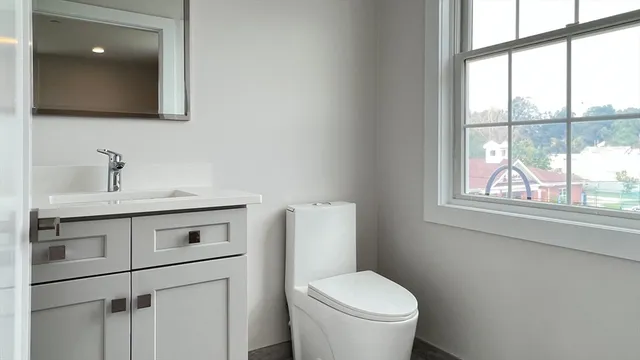 a bathroom with a toilet sink and window