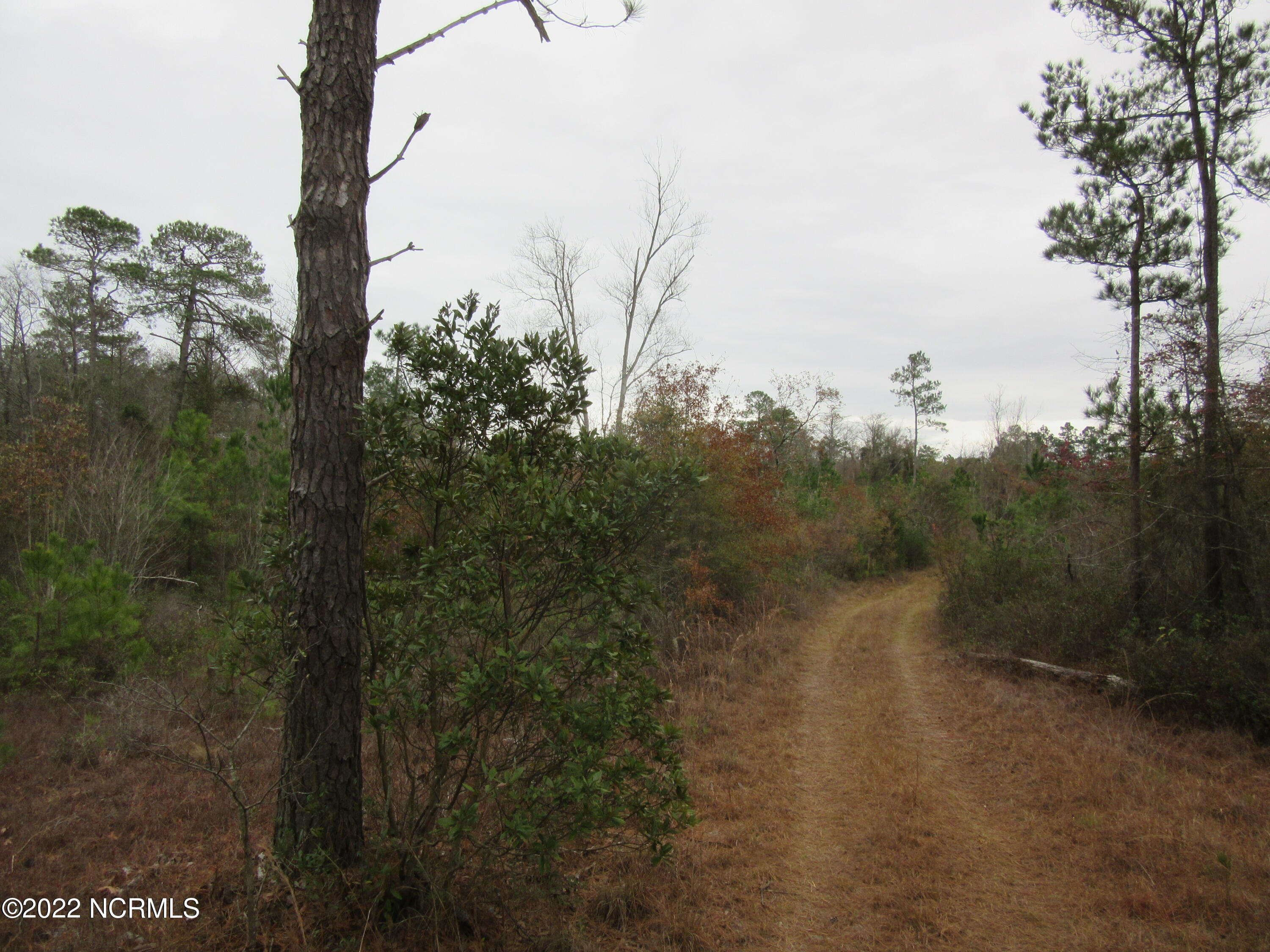 Off Off Island Road White Oak, NC 28399 - Photo 2 of 7 IMG_5755