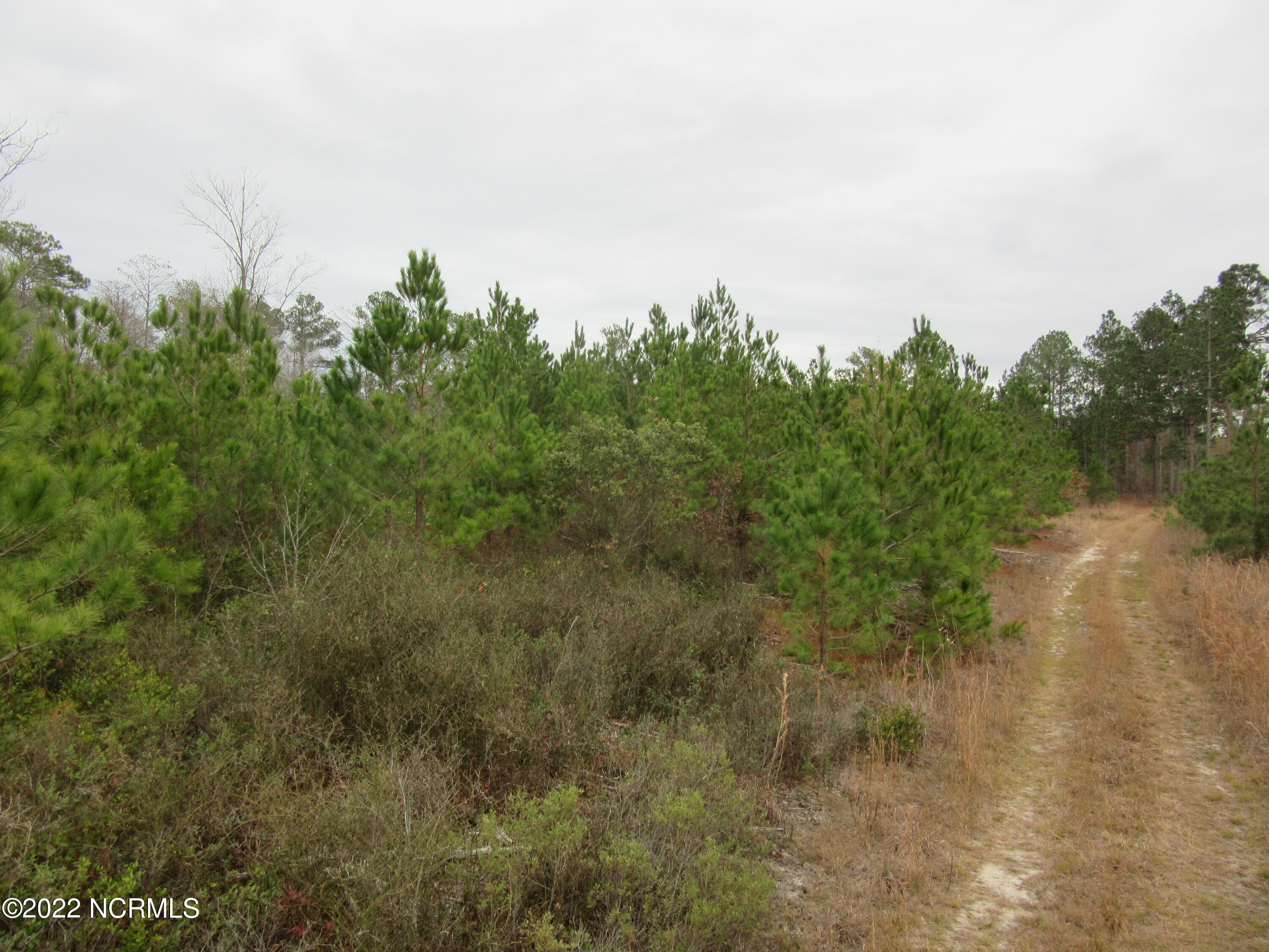 Off Off Island Road White Oak, NC 28399 - Photo 4 of 7 IMG_5757