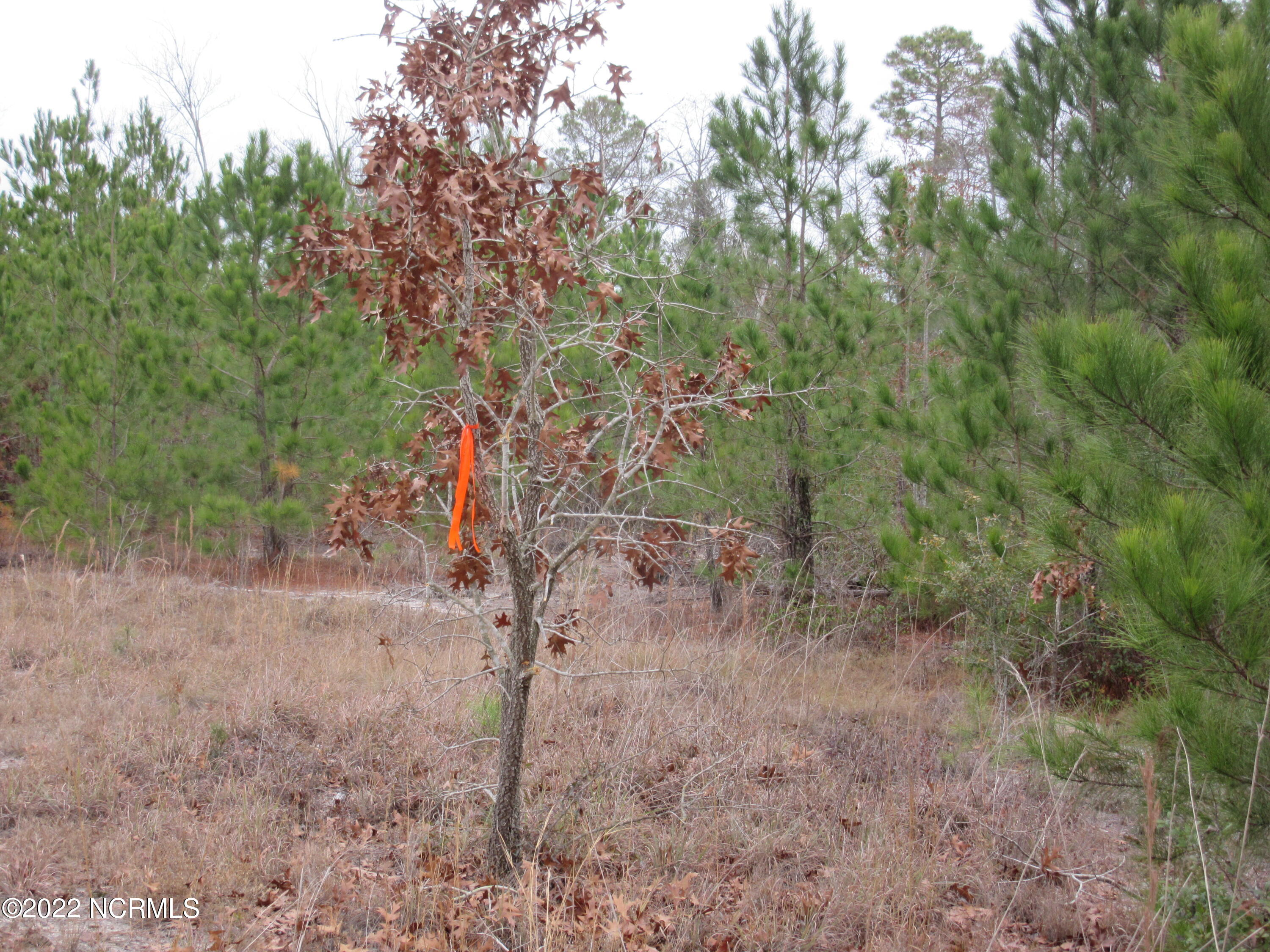 Off Off Island Road White Oak, NC 28399 - Photo 6 of 7 Property starts here.