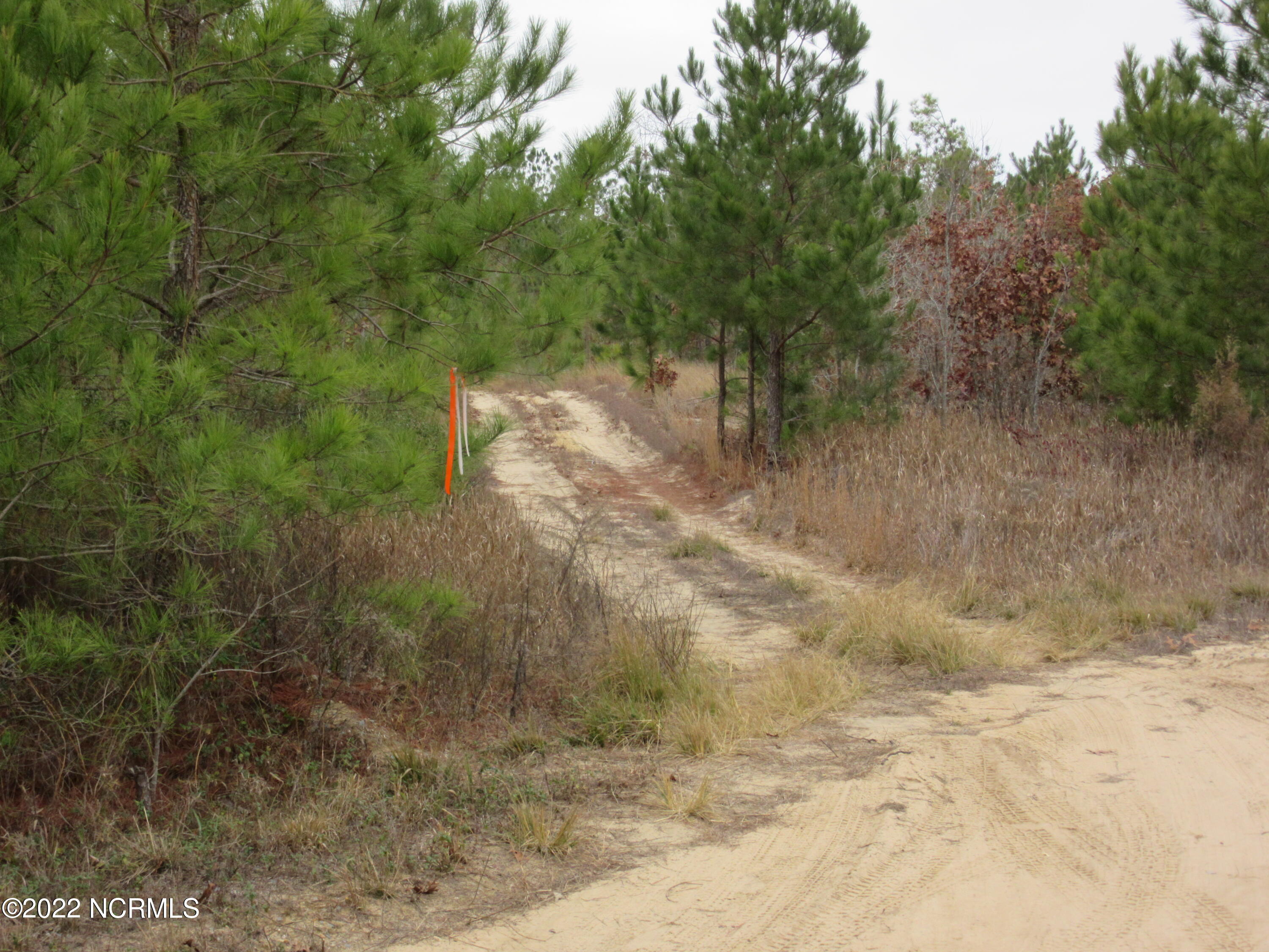 Off Off Island Road White Oak, NC 28399 - Photo 7 of 7 Turn left off squires farm road here..