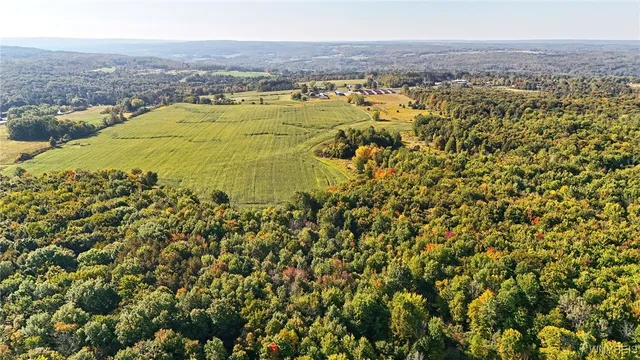 $749,900 | 13050 Big Tree Road, Wales, NY 14037