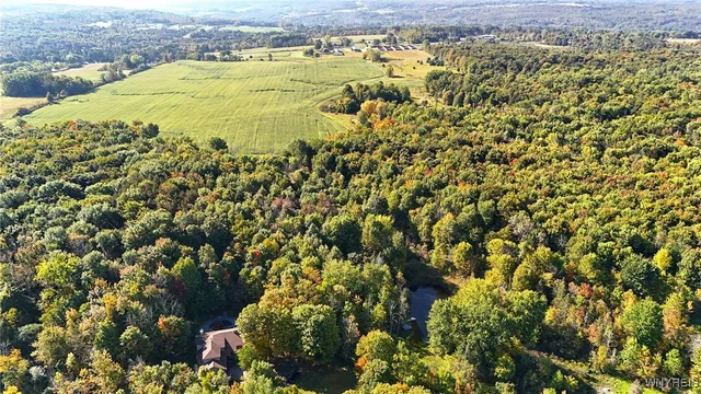 $749,900 | 13050 Big Tree Road, Wales, NY 14037