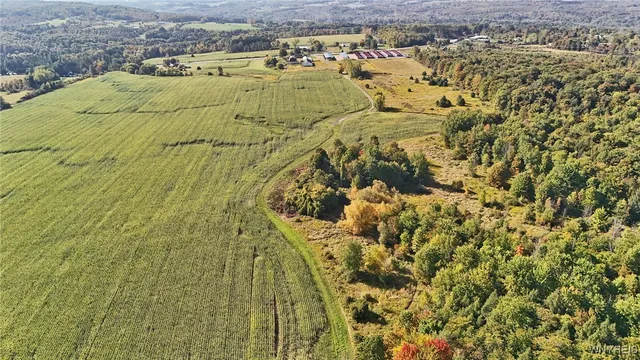 $749,900 | 13050 Big Tree Road, Wales, NY 14037