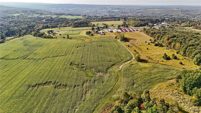 $749,900 | 13050 Big Tree Road, Wales, NY 14037