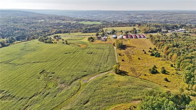 $749,900 | 13050 Big Tree Road, Wales, NY 14037