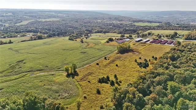 $749,900 | 13050 Big Tree Road, Wales, NY 14037