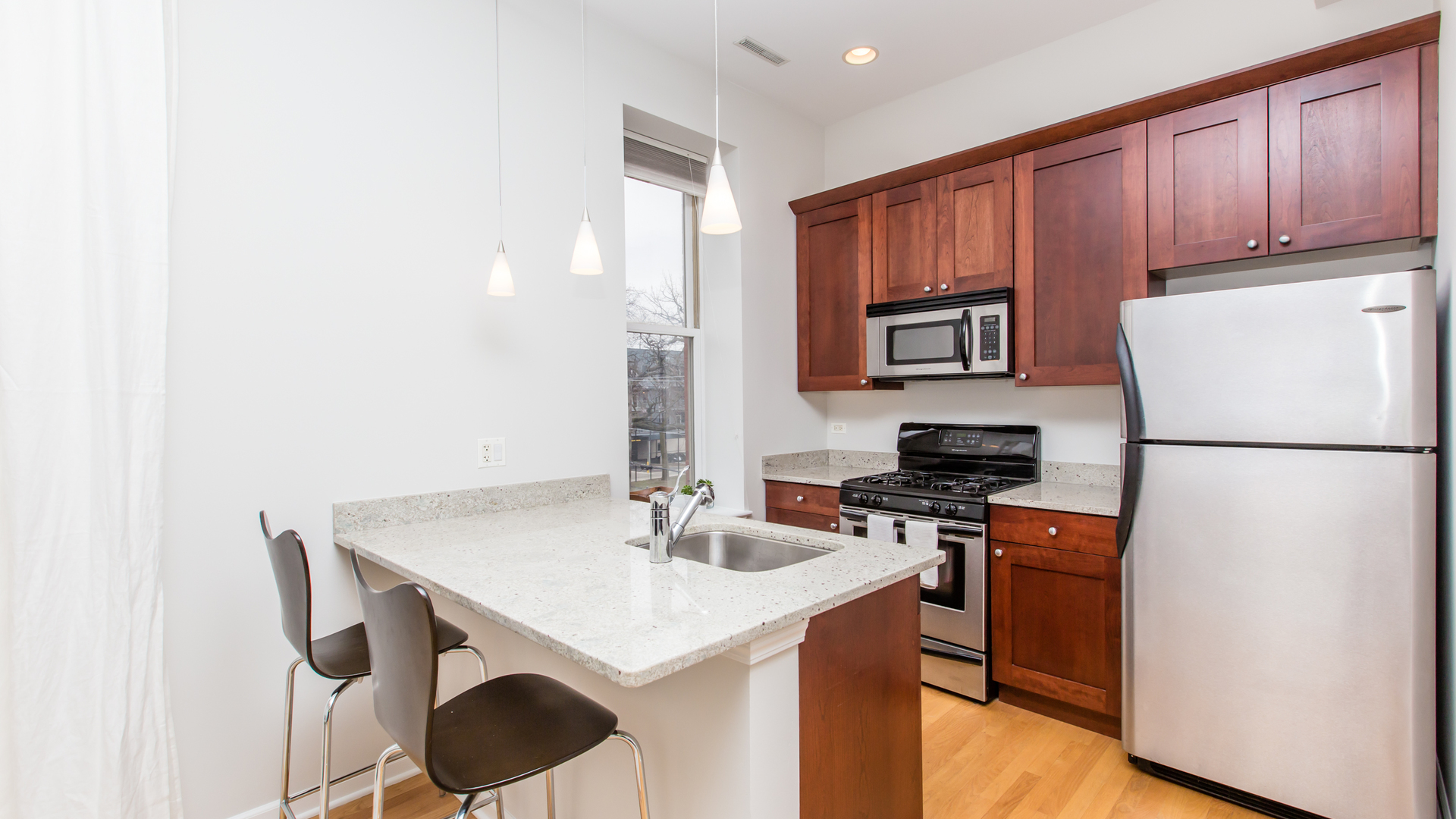 1806 West Rice Street, Unit 3E Chicago, IL 60622 - Photo 3 of 12