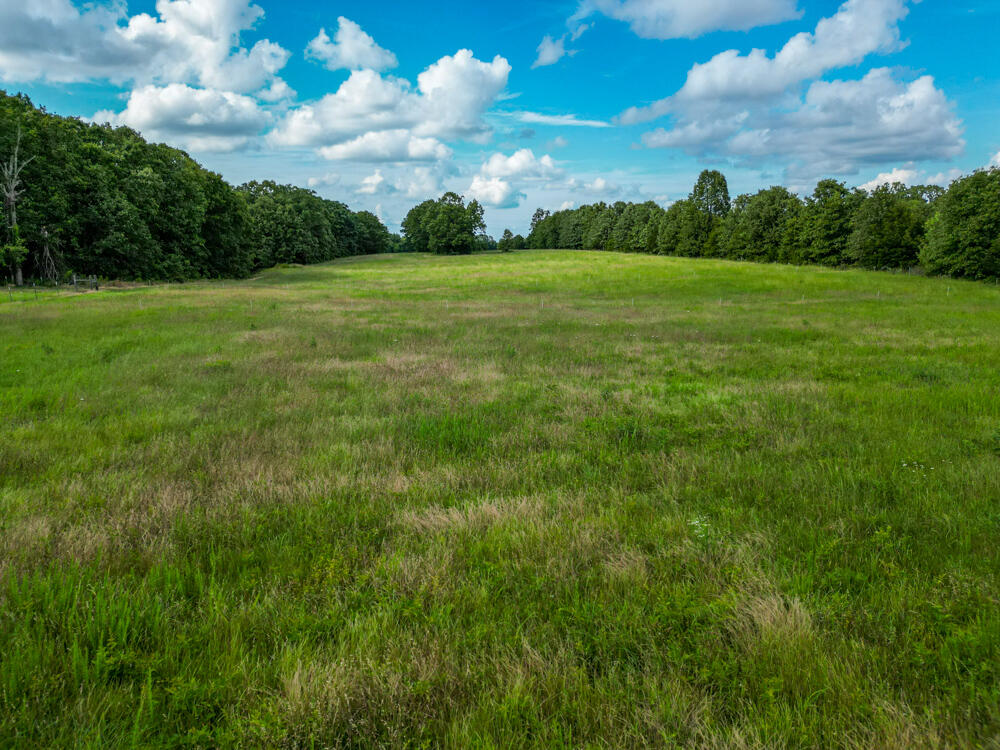 10175 Doe Run Road Phillipsburg, MO 65722 - Photo 15 of 18 DJI_0090