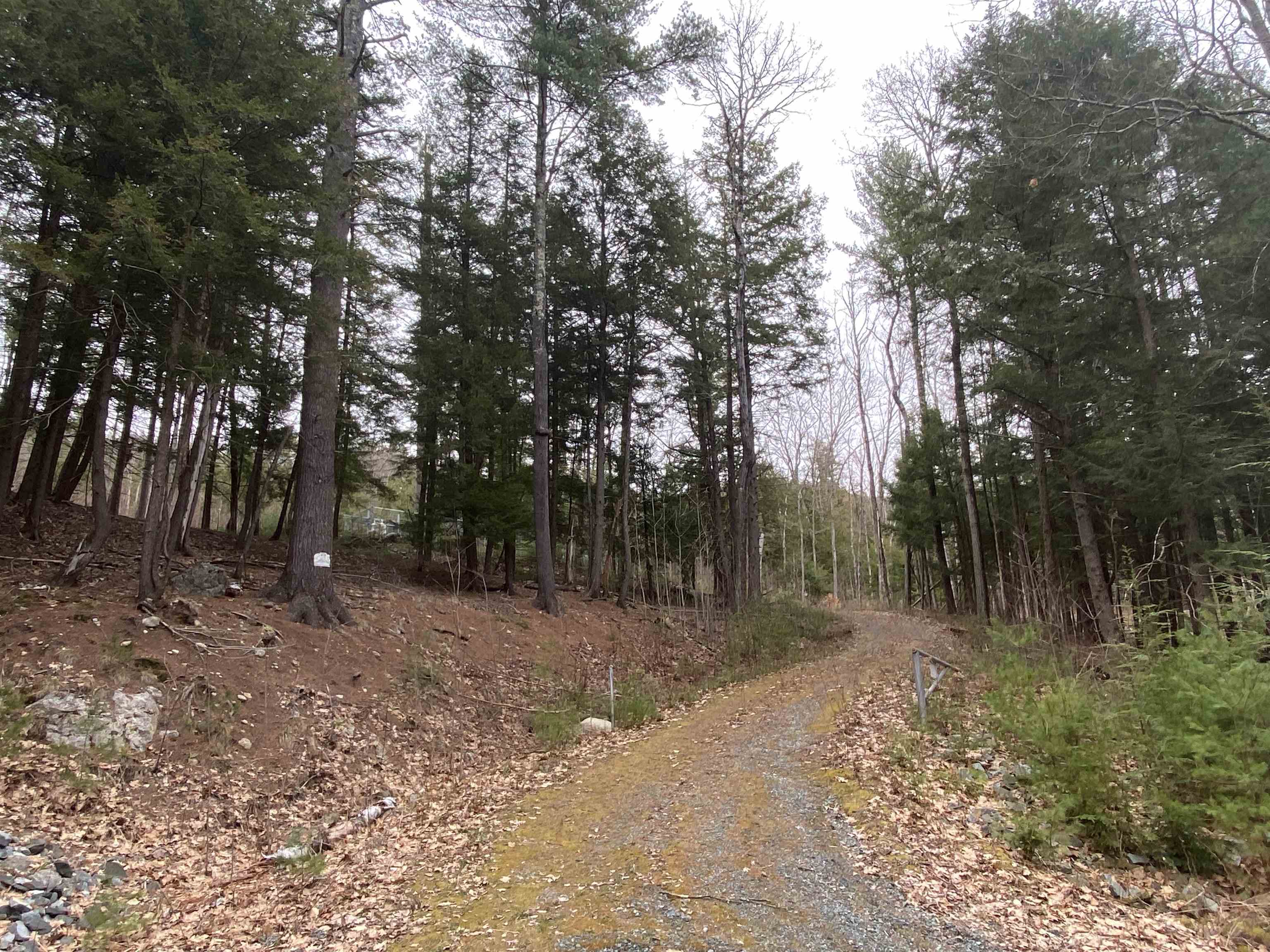 106 Mastin Road North Sutton, NH 03260 - Photo 1 of 1