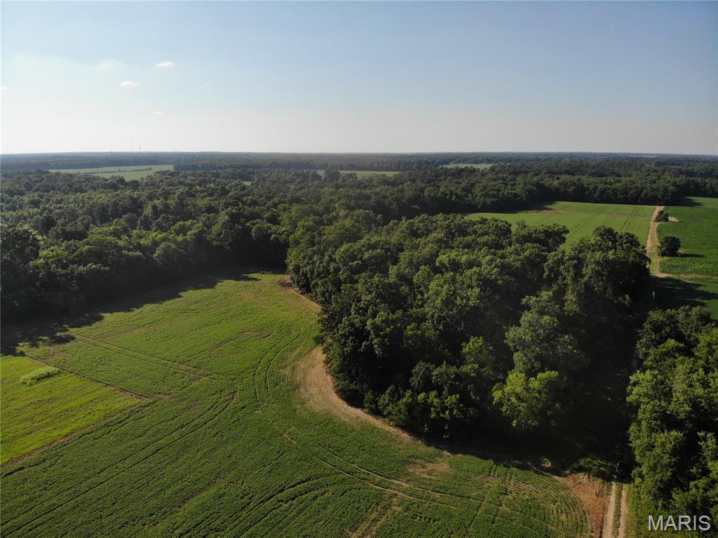 5293 Cross Salem, IL 62881 - Photo 7 of 8