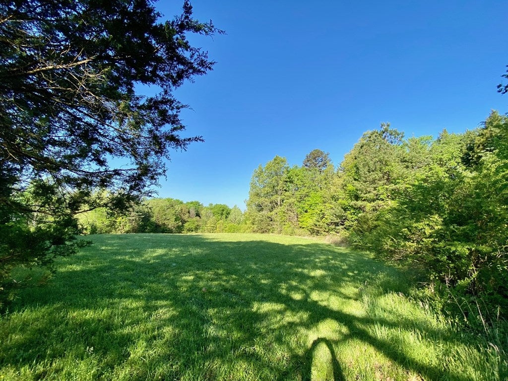 539 Landfill Road Baskerville, VA 23915 - Photo 13 of 38 Pasture