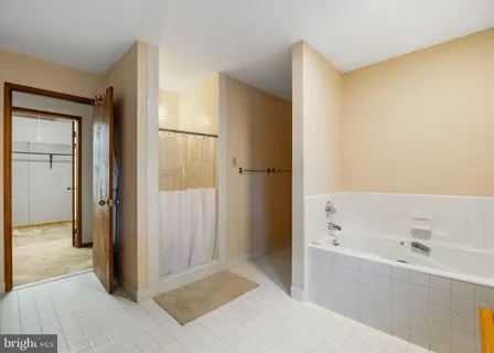 a bathroom with a bathtub and a shower