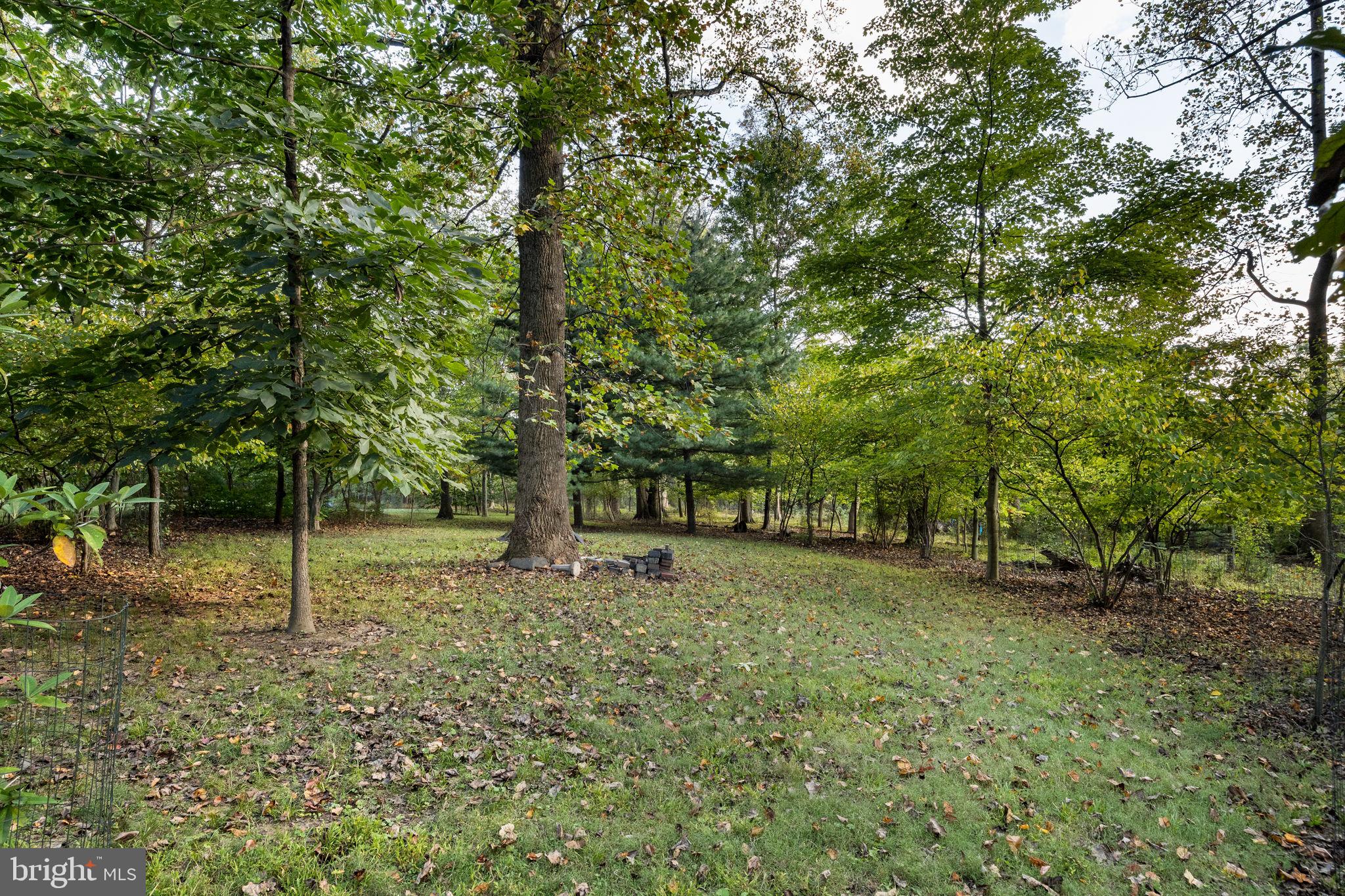 640 Harts Ridge Road Conshohocken, PA 19428 - Photo 41 of 46 a fire hydrant in the middle of a field