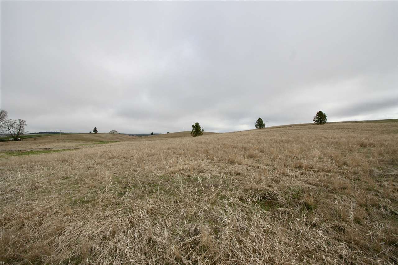 12213 South Bruna Road Valleyford, WA 99036 - Photo 4 of 5 Gallery Image 4