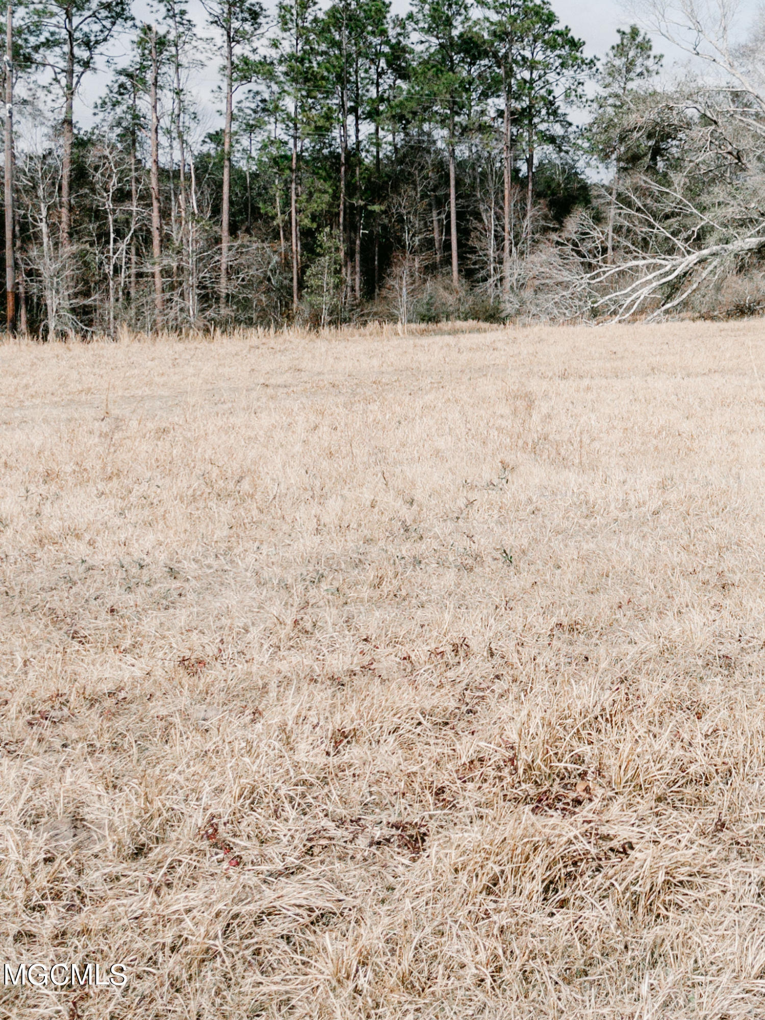 0 Remington Road Moss Point, MS 39562 - Photo 5 of 5 904FC427-C751-49C9-A10A-88618DF357EF