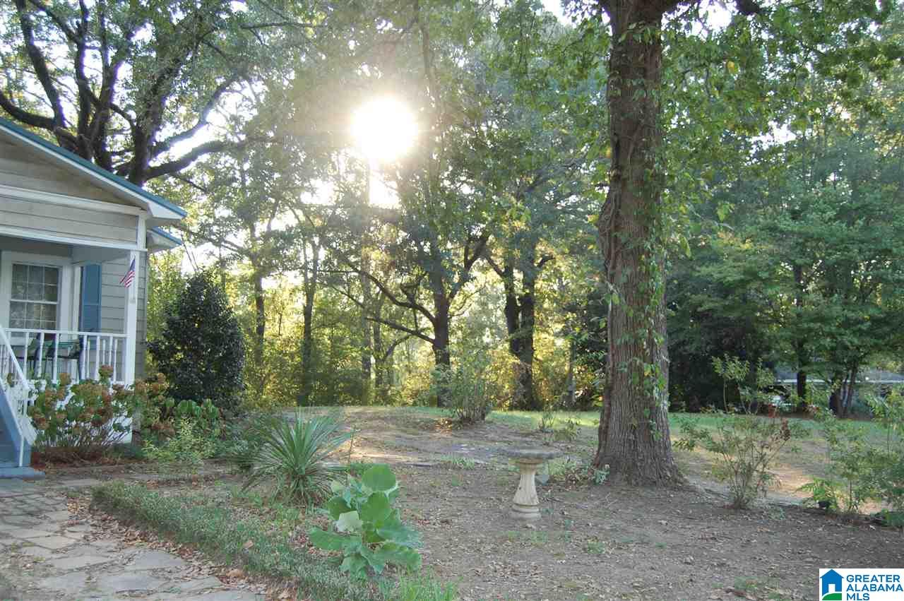 6742 West Jefferson Road Quinton, AL 35130 - Photo 30 of 34